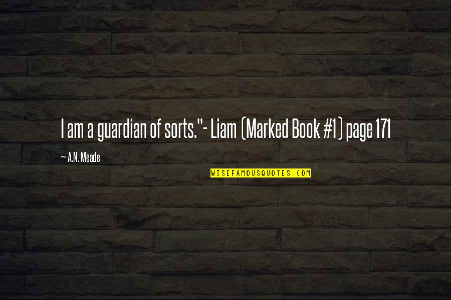 Werewolf Vs Vampire Quotes By A.N. Meade: I am a guardian of sorts."- Liam (Marked