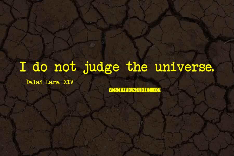 Wesley Chan Quotes By Dalai Lama XIV: I do not judge the universe.