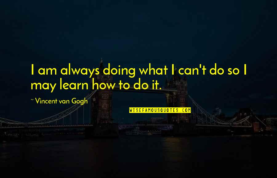 West Wing Toby Quotes By Vincent Van Gogh: I am always doing what I can't do