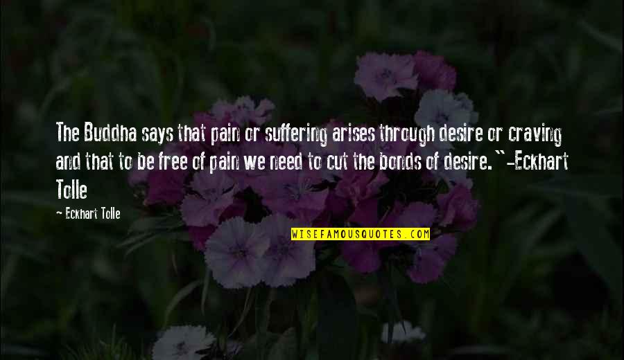 Wet And Wild Quotes By Eckhart Tolle: The Buddha says that pain or suffering arises