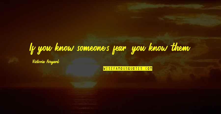 Wetzelland Quotes By Victoria Aveyard: If you know someone's fear, you know them.