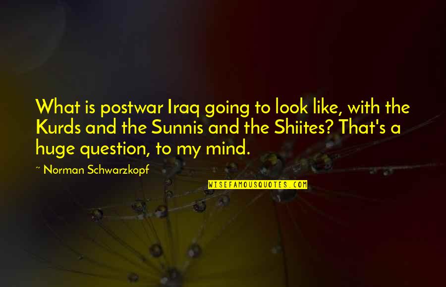 What A Look Quotes By Norman Schwarzkopf: What is postwar Iraq going to look like,