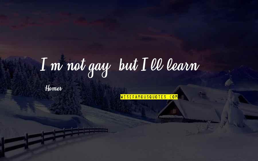 What A Tired Day Quotes By Homer: I'm not gay, but I'll learn ...