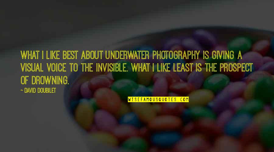 What A Voice Quotes By David Doubilet: What I like best about underwater photography is