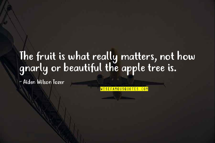 What Beautiful Quotes By Aiden Wilson Tozer: The fruit is what really matters, not how