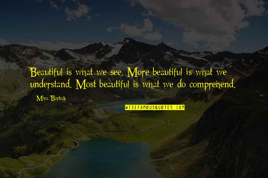 What Beautiful Quotes By Mira Bartok: Beautiful is what we see. More beautiful is