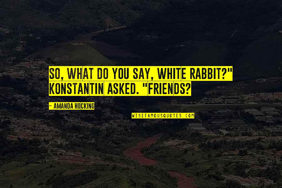 What Friends Quotes By Amanda Hocking: So, what do you say, white rabbit?" Konstantin