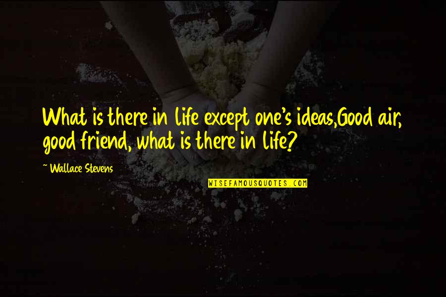 What Is A Best Friend Quotes By Wallace Stevens: What is there in life except one's ideas,Good