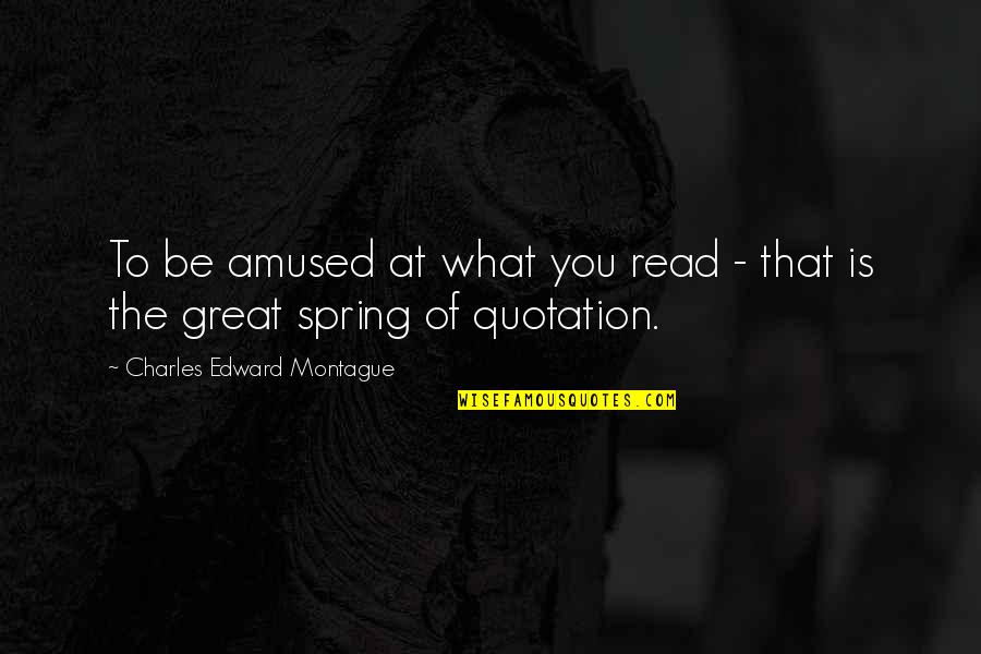 What Is A Montague Quotes By Charles Edward Montague: To be amused at what you read -