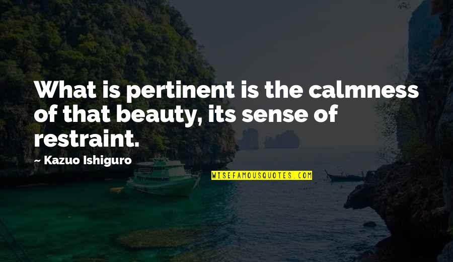 What Is Beauty Quotes By Kazuo Ishiguro: What is pertinent is the calmness of that