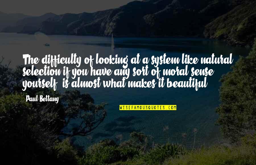 What Makes You Beautiful Quotes By Paul Bettany: The difficulty of looking at a system like