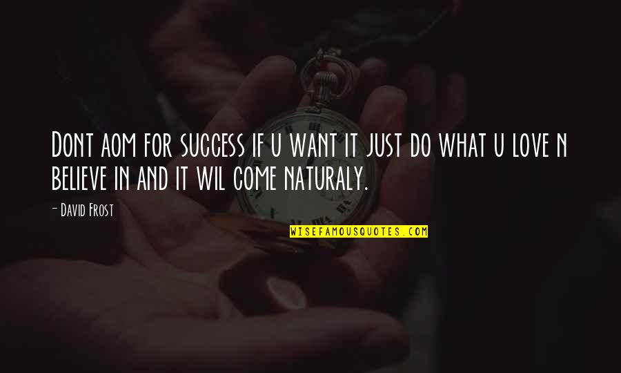 What U Want Quotes By David Frost: Dont aom for success if u want it