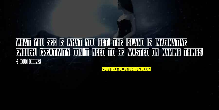 What You See What You Get Quotes By Doug Cooper: What you see is what you get. The