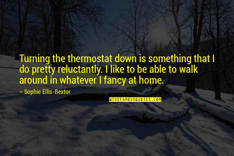 Whatever That Is Quotes By Sophie Ellis-Bextor: Turning the thermostat down is something that I