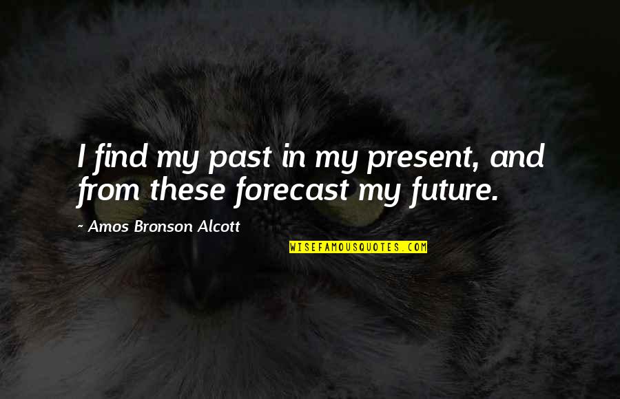 Whatthey Quotes By Amos Bronson Alcott: I find my past in my present, and