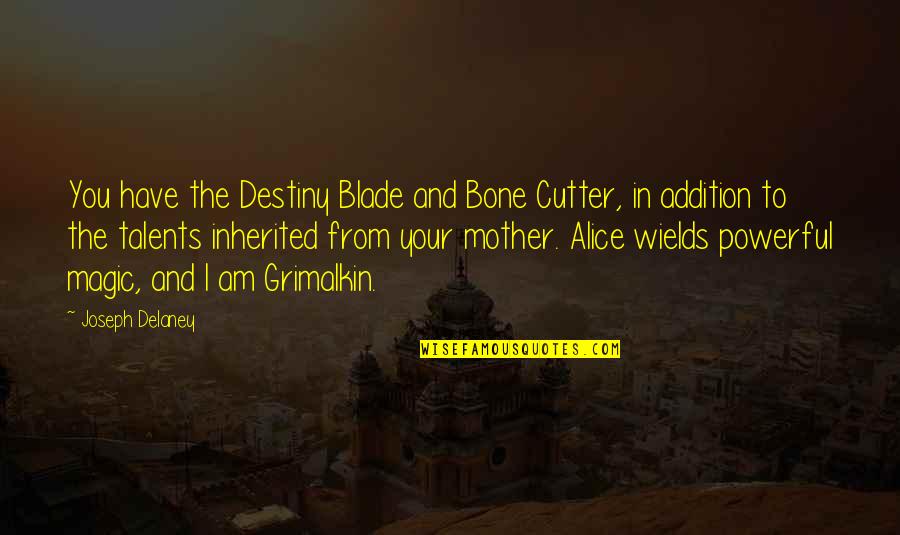 Wheel Works Quotes By Joseph Delaney: You have the Destiny Blade and Bone Cutter,