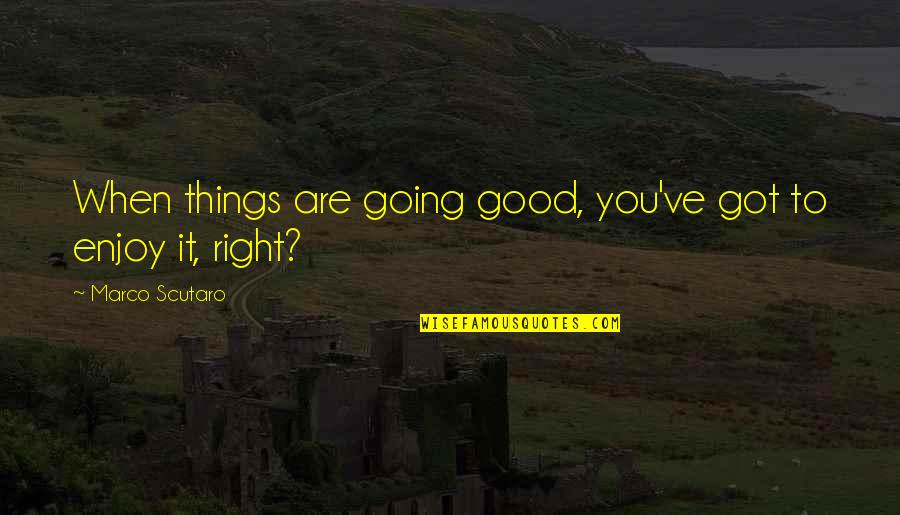 When Things Are Not Right Quotes By Marco Scutaro: When things are going good, you've got to