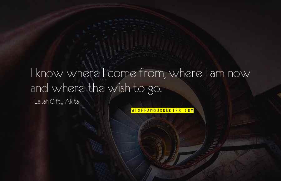 When Time Stood Still Quotes By Lailah Gifty Akita: I know where I come from, where I