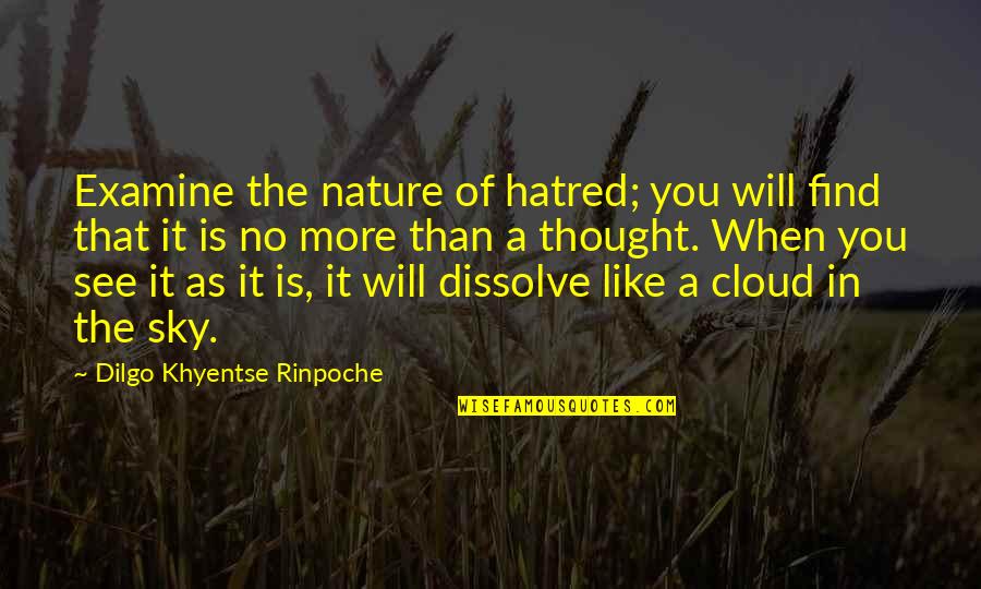 When You Find The Quotes By Dilgo Khyentse Rinpoche: Examine the nature of hatred; you will find