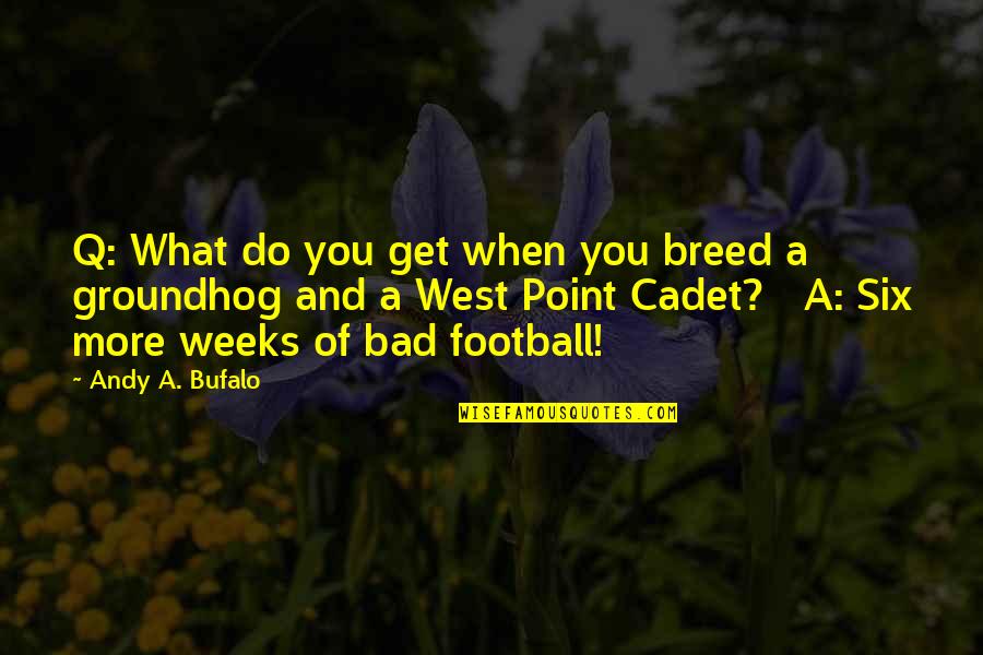 When You Get To The Point Quotes By Andy A. Bufalo: Q: What do you get when you breed