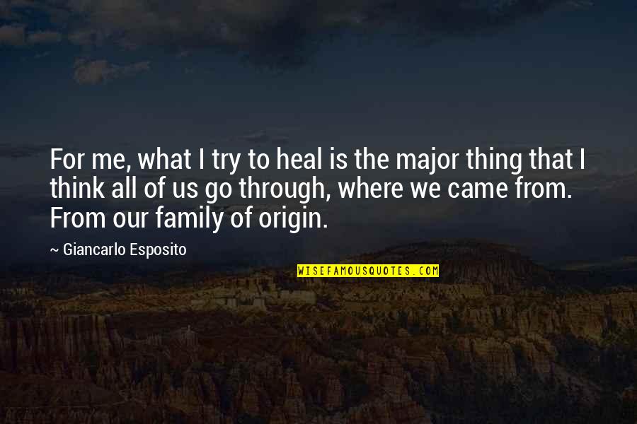 Where We Came From Quotes By Giancarlo Esposito: For me, what I try to heal is