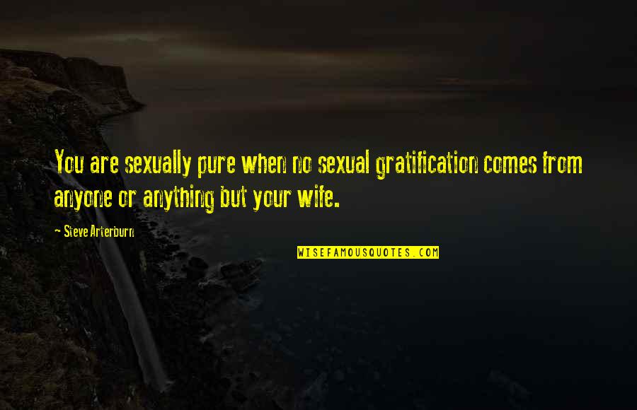 White Egret Quotes By Steve Arterburn: You are sexually pure when no sexual gratification