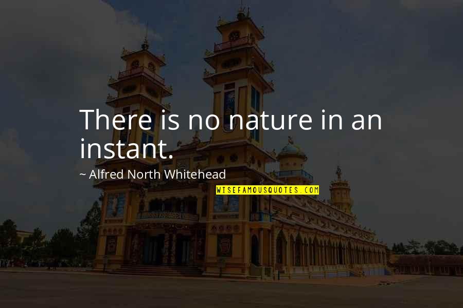 Whitehead Quotes By Alfred North Whitehead: There is no nature in an instant.