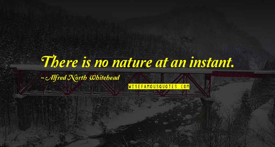 Whitehead Quotes By Alfred North Whitehead: There is no nature at an instant.