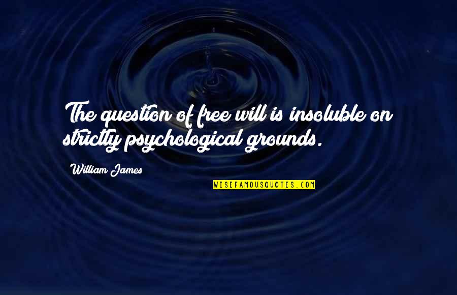 Who Dat Nation Quotes By William James: The question of free will is insoluble on