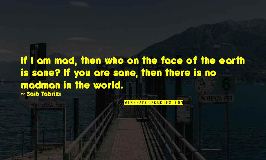 Who I Am Quotes By Saib Tabrizi: If I am mad, then who on the