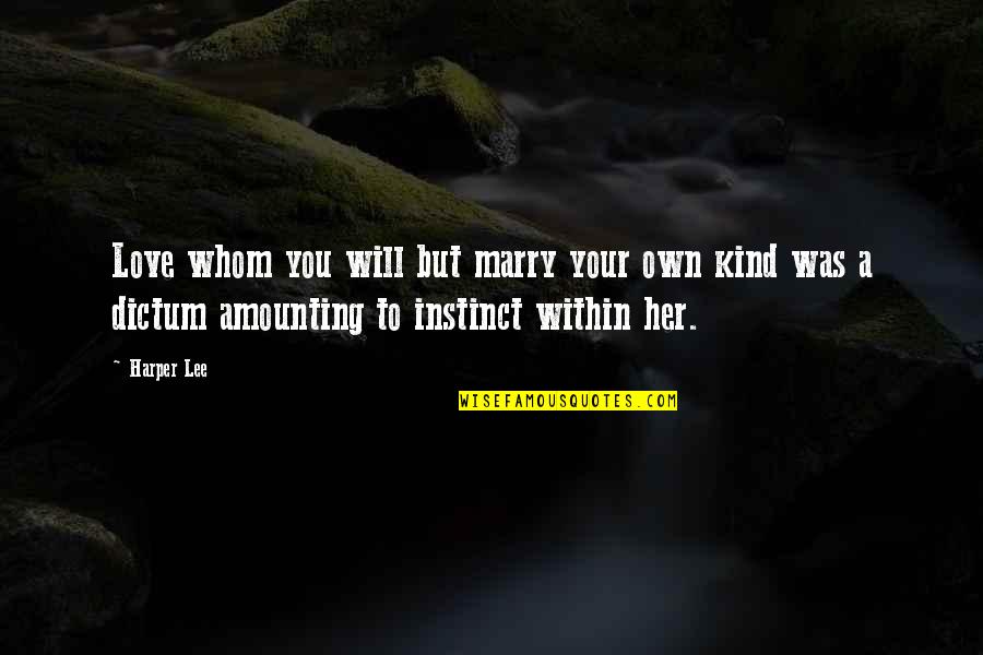 Whom To Love Quotes By Harper Lee: Love whom you will but marry your own