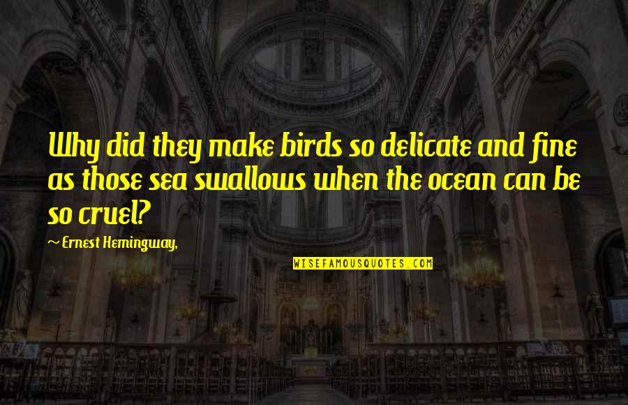 Why Are You So Cruel Quotes By Ernest Hemingway,: Why did they make birds so delicate and