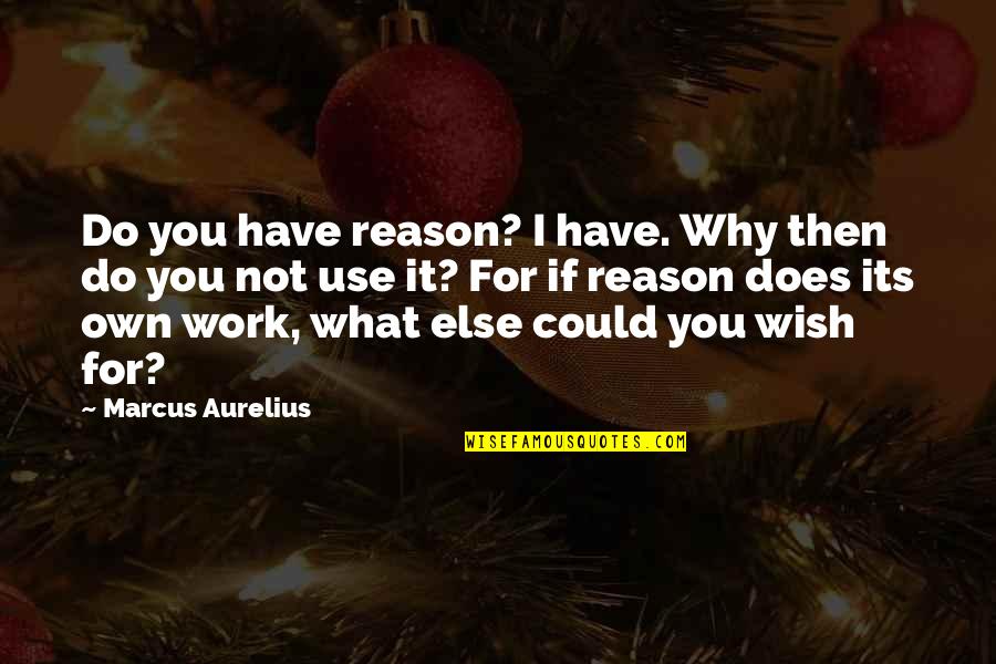 Why Do We Work Quotes By Marcus Aurelius: Do you have reason? I have. Why then