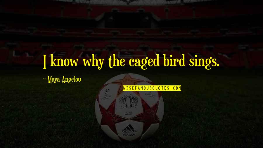 Why The Caged Bird Sings Quotes By Maya Angelou: I know why the caged bird sings.