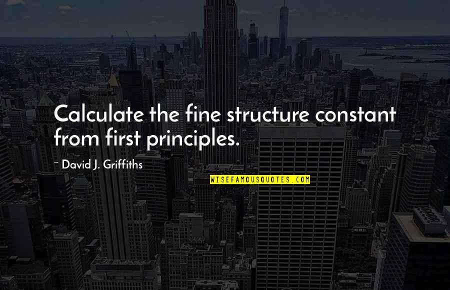 Wieneke Law Quotes By David J. Griffiths: Calculate the fine structure constant from first principles.