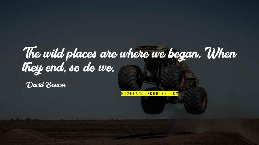 Wild And Nature Quotes By David Brower: The wild places are where we began. When