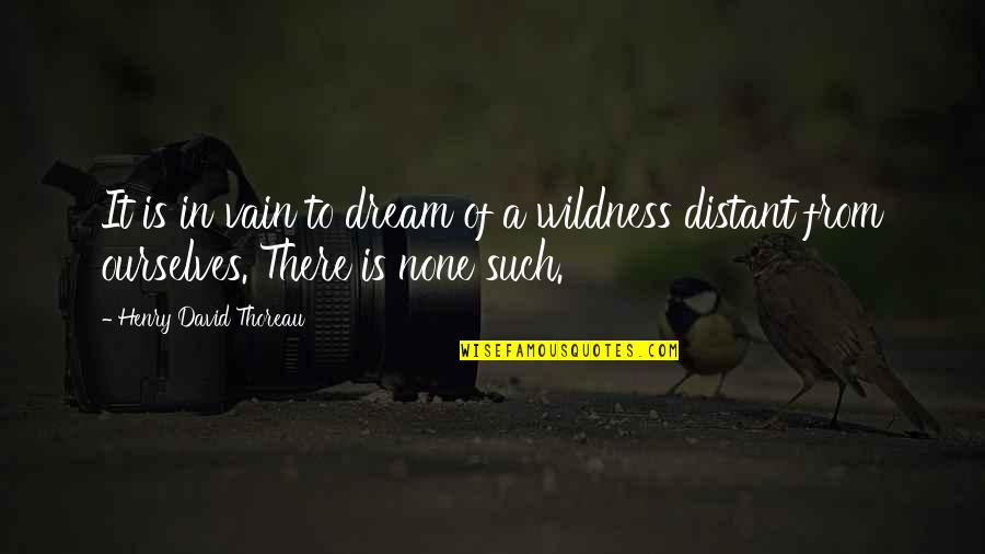 Wildness Quotes By Henry David Thoreau: It is in vain to dream of a