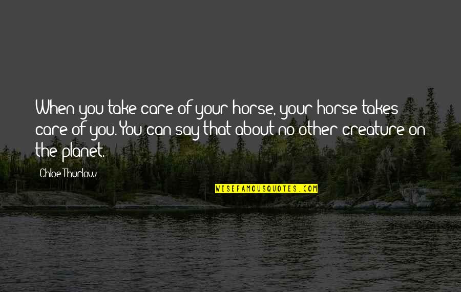 Wilhide Consulting Quotes By Chloe Thurlow: When you take care of your horse, your