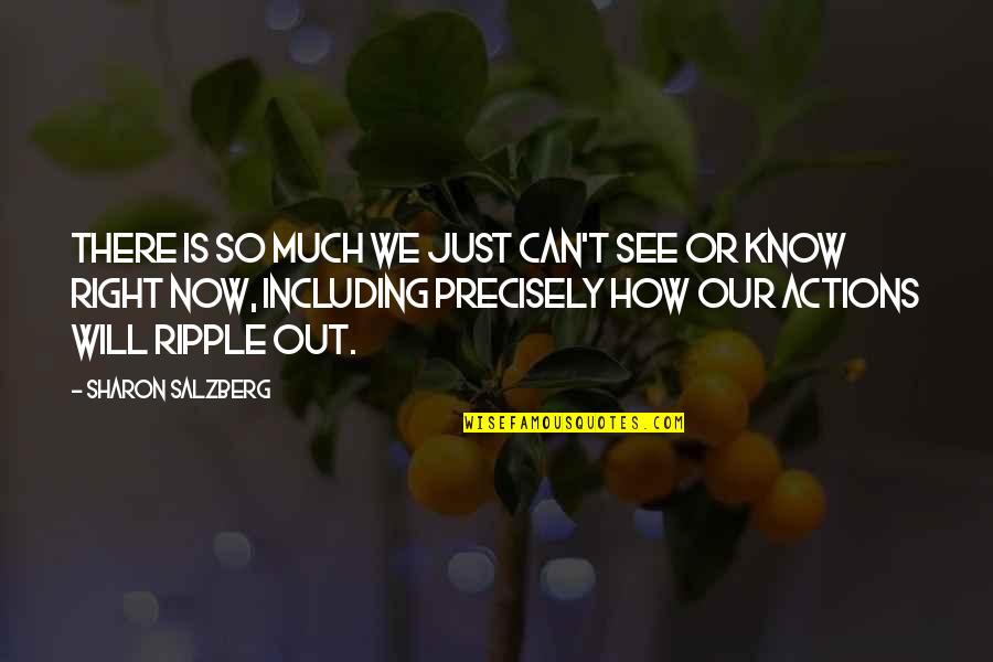 Will See You Soon Quotes By Sharon Salzberg: There is so much we just can't see