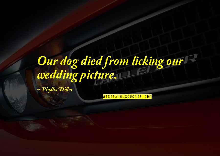 Willy Loman's Affair Quotes By Phyllis Diller: Our dog died from licking our wedding picture.