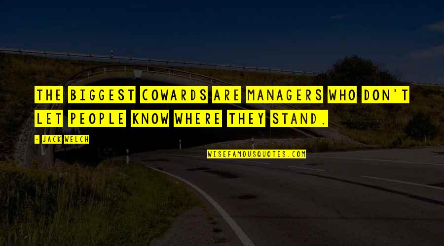 Window Cleaning Funny Quotes By Jack Welch: The biggest cowards are managers who don't let