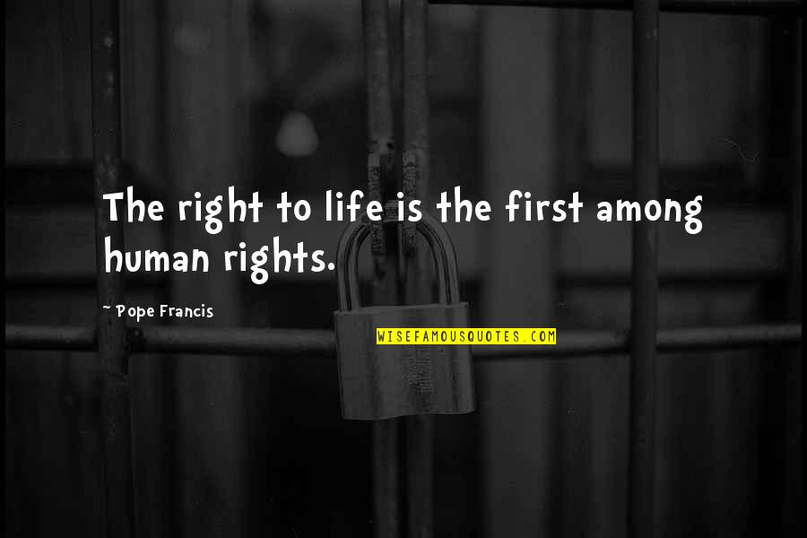 Wine And Vineyards Quotes By Pope Francis: The right to life is the first among