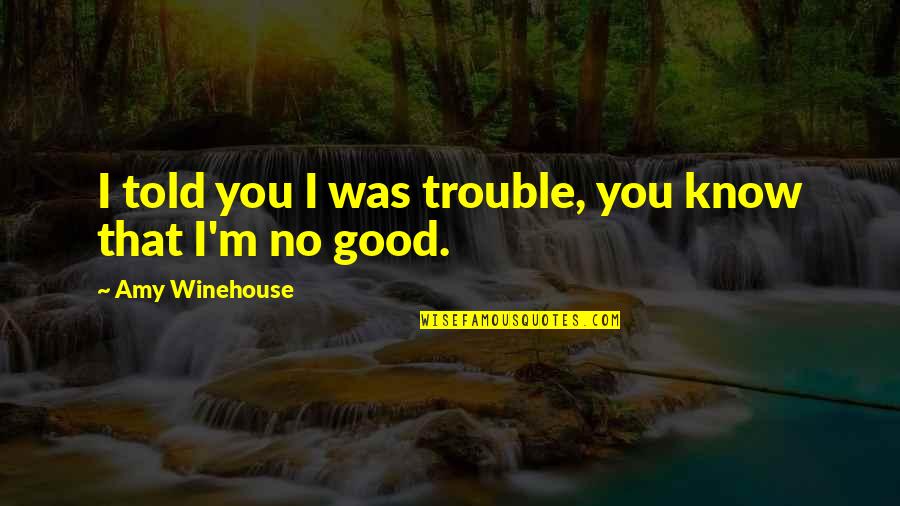 Winehouse's Quotes By Amy Winehouse: I told you I was trouble, you know