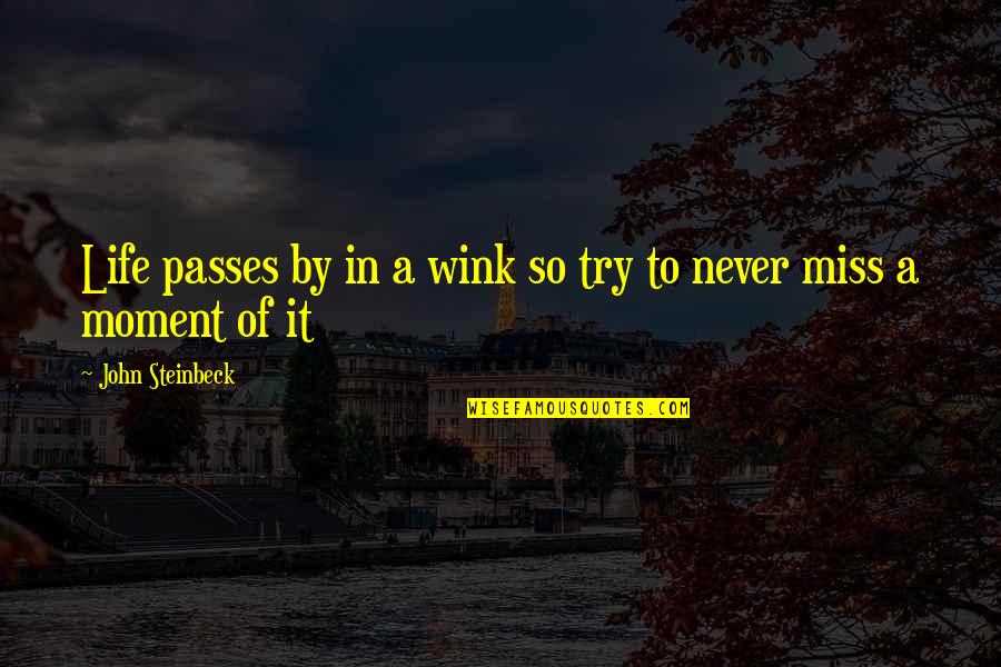 Wink Quotes By John Steinbeck: Life passes by in a wink so try