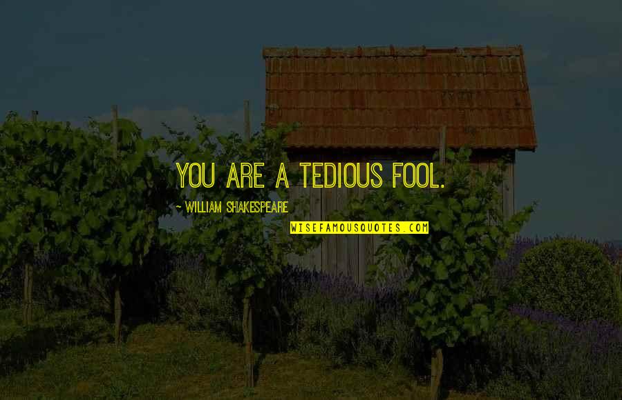 Winwedge Quotes By William Shakespeare: You are a tedious fool.