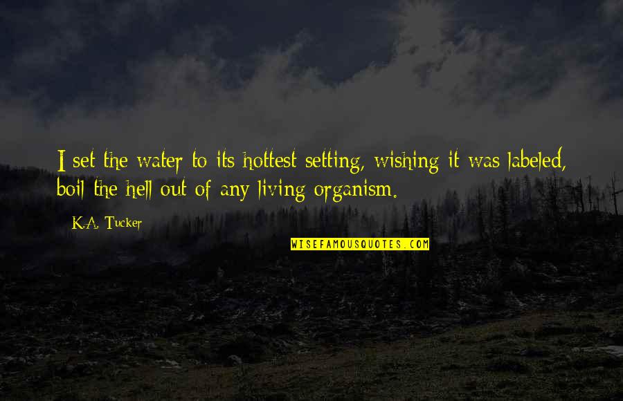 Wishing You The Best Quotes By K.A. Tucker: I set the water to its hottest setting,