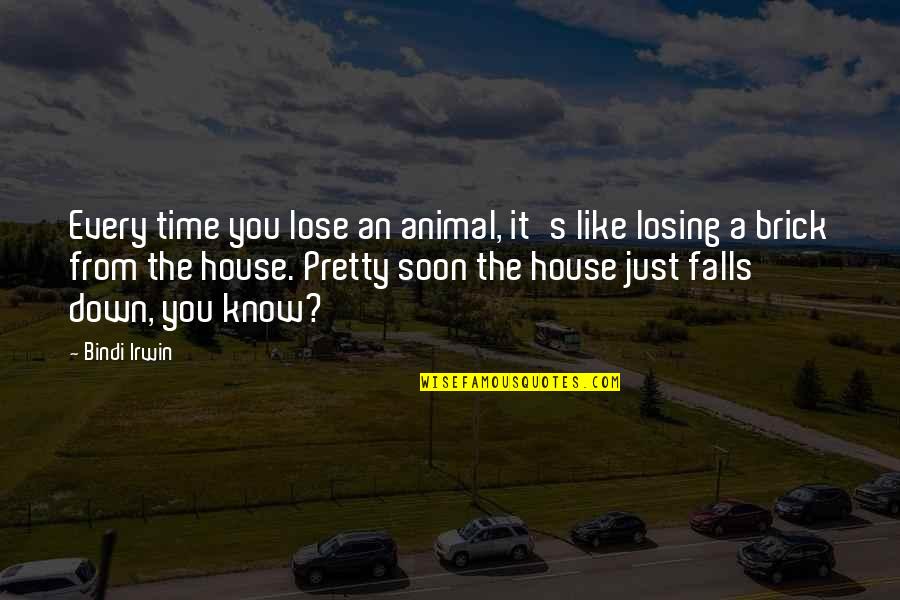 Wissenschaftliche Buchgesellschaft Quotes By Bindi Irwin: Every time you lose an animal, it's like