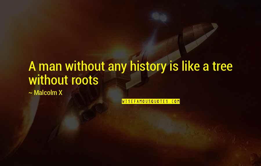 Without History Quotes By Malcolm X: A man without any history is like a