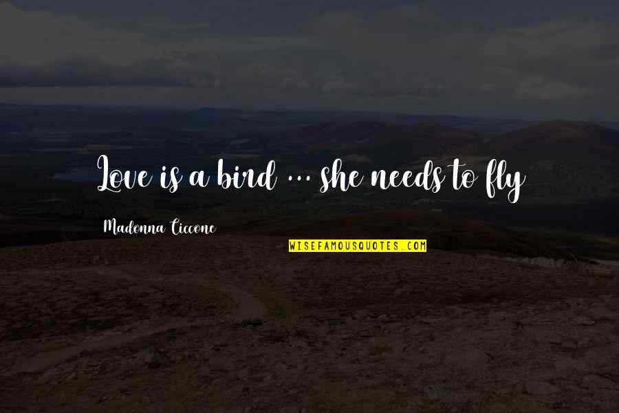 Witty Groucho Marx Quotes By Madonna Ciccone: Love is a bird ... she needs to