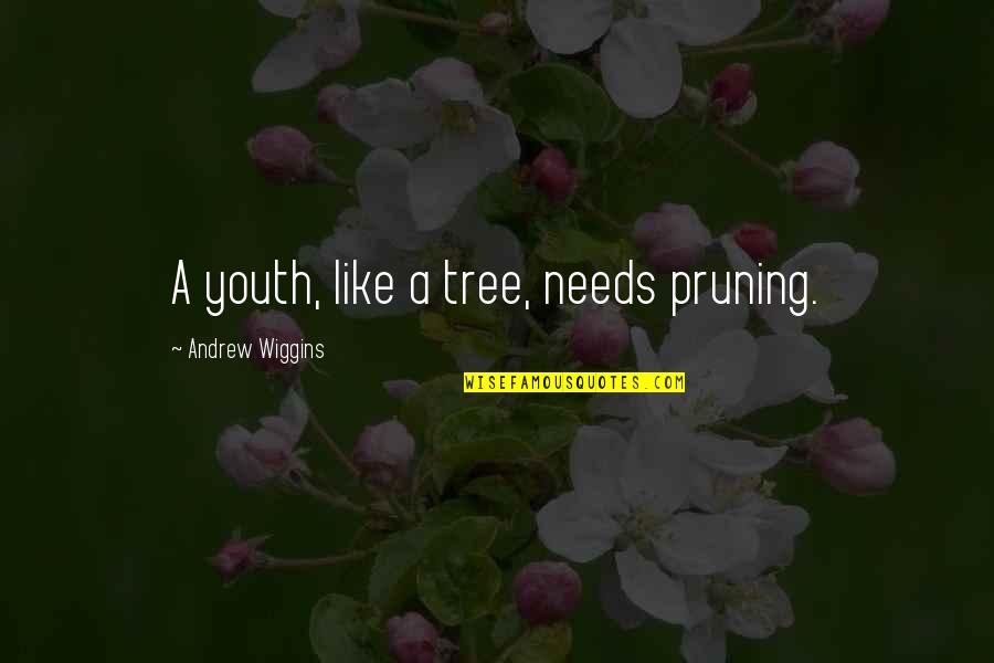 Wlodek Markowicz Quotes By Andrew Wiggins: A youth, like a tree, needs pruning.